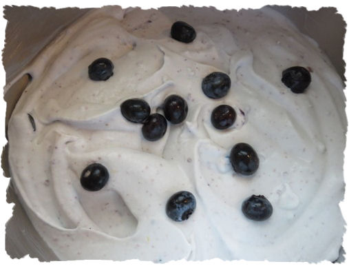 Joghurt - Heidelbeer - Vanille Eiscreme