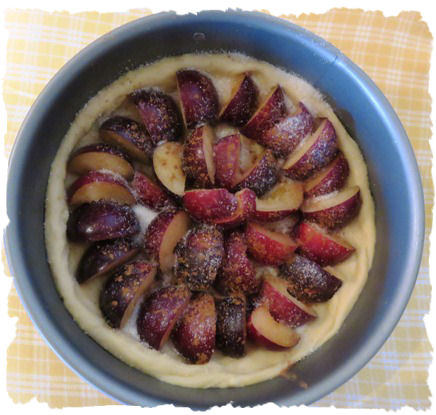 Pflaumenkuchen