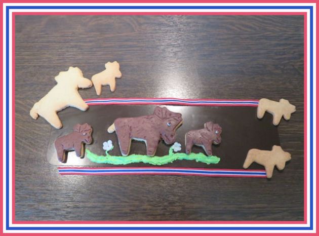 Elche aus der Taraland Lehrküche