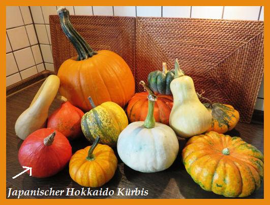 Japanischer Hokkaido Kürbis