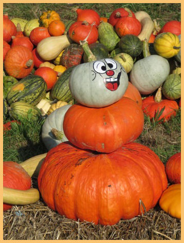 Kürbisfest in Kleinziethen 2015 (2)