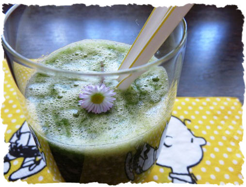 ango-Rucola-Smoothie aus der Taraland Lehrküche