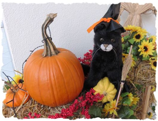 Halloweeen 2015 Salem