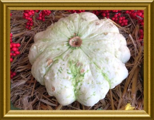 Patisson Kürbis für Kürbis-Kichererbsen Topf mit CousCous (4)