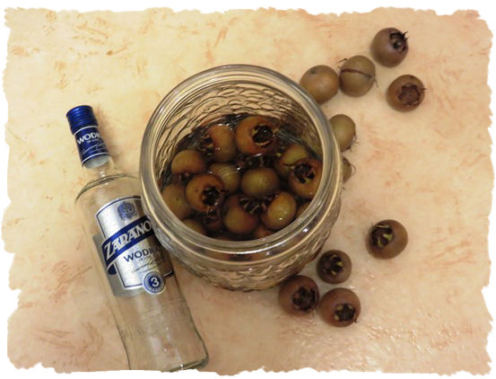 Mispellikör aus der Taraland Lehrküche