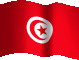 Tunesien Fahne
