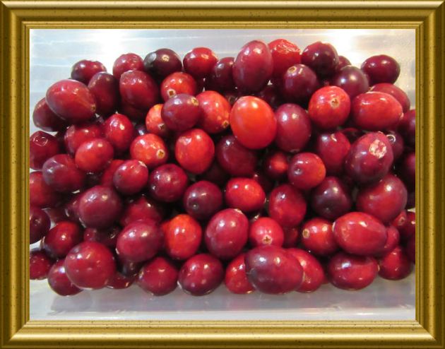 Cranberry aus der Taraland Lehrküche