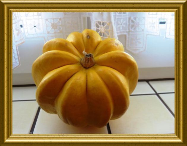 Puffer aus Kartoffeln und Kürbis Marina di Chioggia aus der Taraland Lehrküche