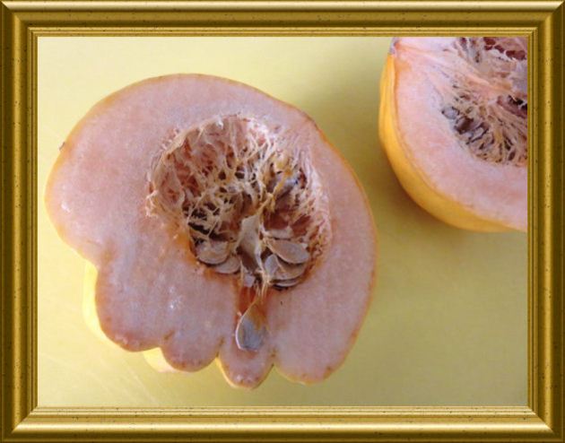 Puffer aus Kartoffeln und Kürbis Marina di Chioggia aus der Taraland Lehrküche