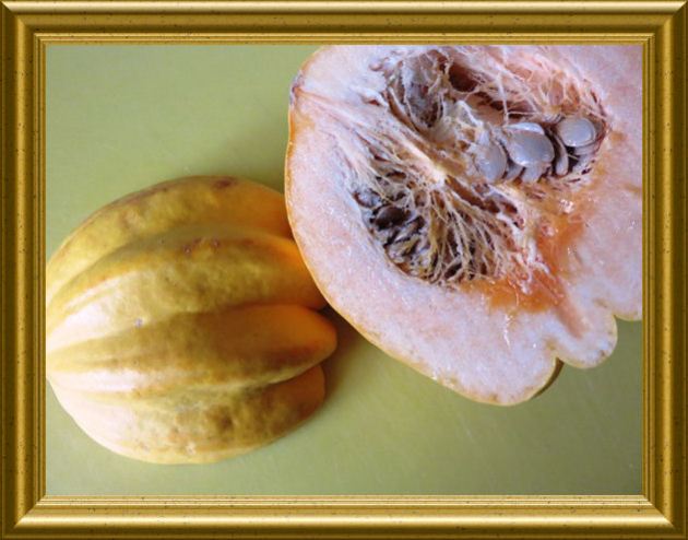 Puffer aus Kartoffeln und Kürbis Marina di Chioggia aus der Taraland Lehrküche