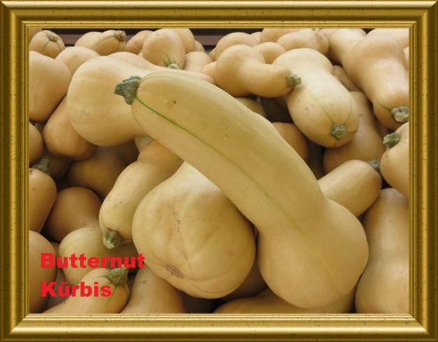 Butternut Kürbis aus der Taraland Lehrküche