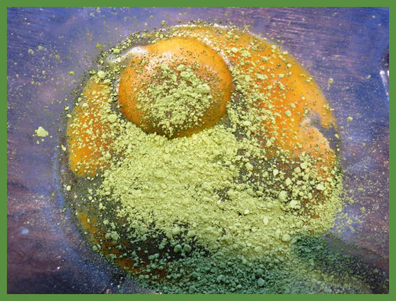 Japanischer Matcha Kuchen aus der Taraland Lehrküche