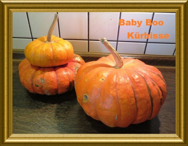 Kürbis Bagels Mit Kürbis Baby Boo aus der TARALAND LEHRKÜCHE