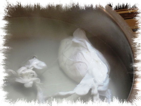 Oeuf florentine-Pochierte Eier aus der Taraland Lehrküche