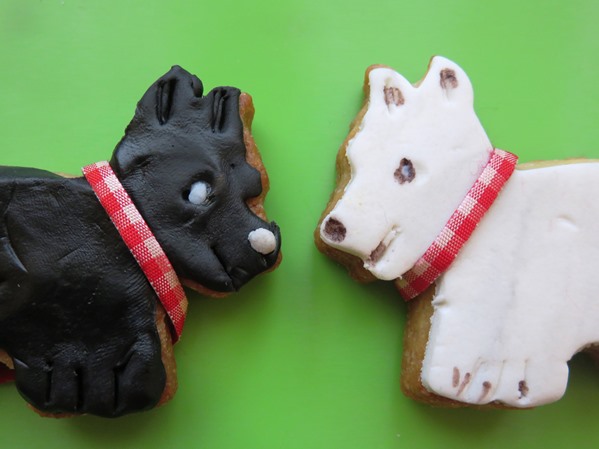 Scotch Terrier Kekse aus der Taraland Lehrküche