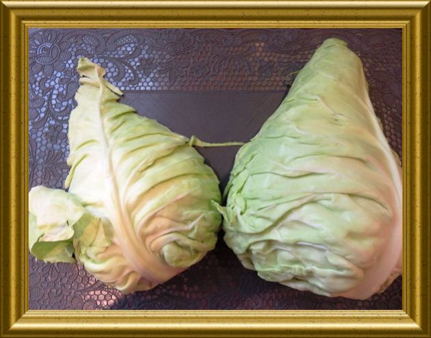 Spitzkohlsalat aus der Taraland Lehrküche