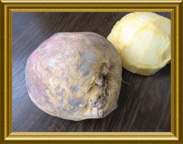 Steckrüben aus der Taraland Lehrküche