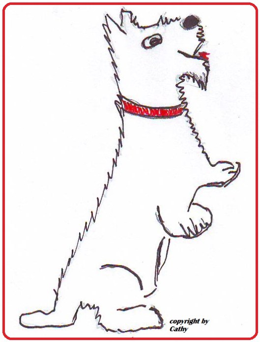 Scotish Terrier aus der Taraland Lehrküche