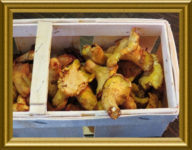 Pfifferling-Knöpfli-Gratinaus der Taraland Lehrküche