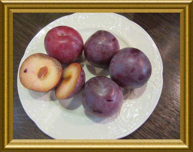 Mus aus spanischen Pflaumen aus der Taraland Lehrküche