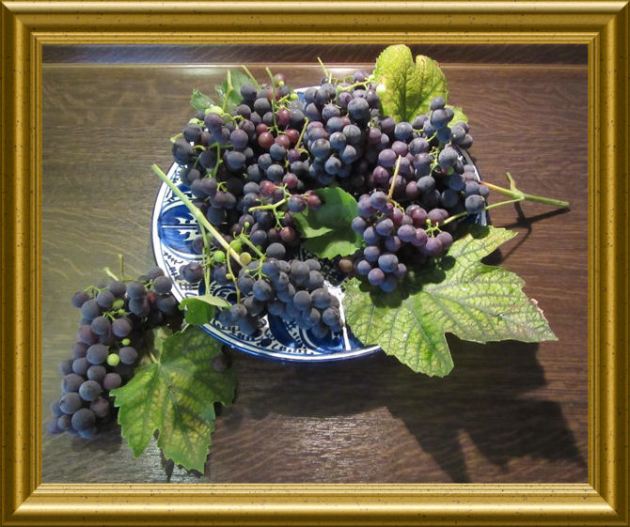 Weintrauben-Gelee-Würfel aus der Taraland Lehrküche