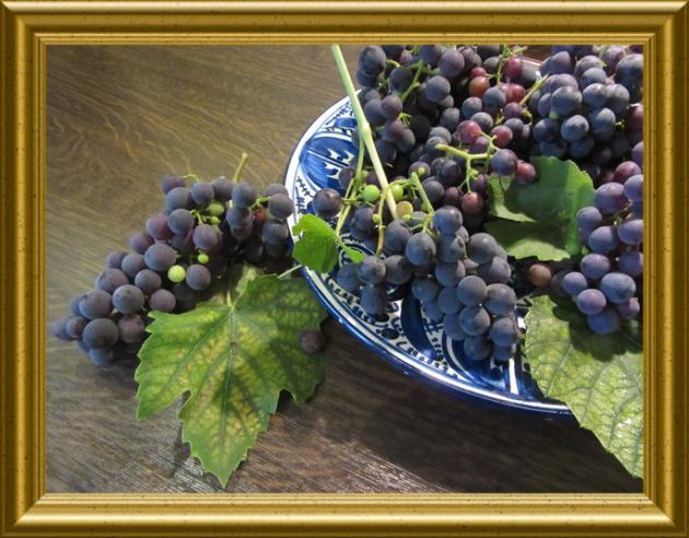 Weintrauben-Gelee-Würfel aus der Taraland Lehrküche