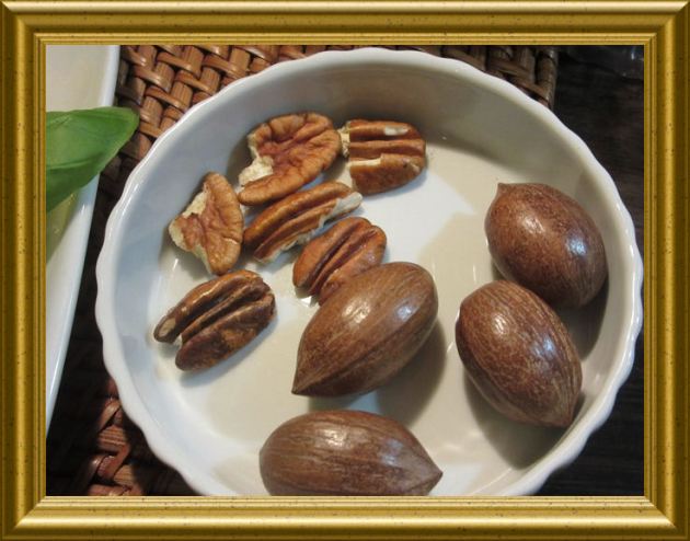 Pekannüsse aus der Taraland Lehrküche