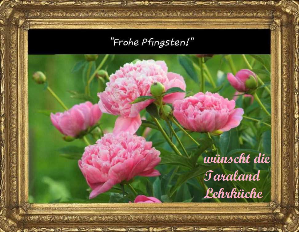 blumen mit gelben kugeln Duftende gelbe blüten -Fotos und -Bildmaterial in hoher Auflösung – Alamy Trommelschlägel pflanze